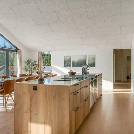 Luxury With Outdoor Hot Tub, Outdoor Sauna And Activity For 12 People Feriehus Fjerritslev